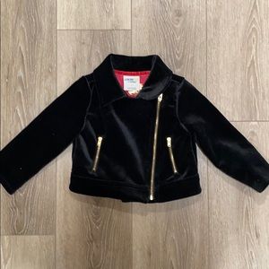 Velvet Motorcycle Jacket
